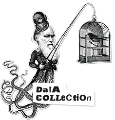 Data Collection
