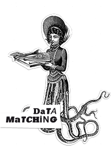 Data Matching