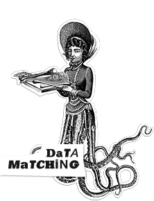 Data Matching